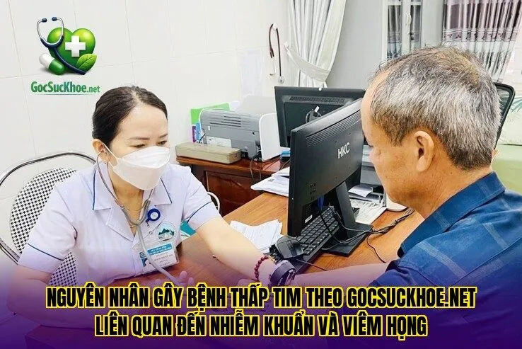 Nguyên nhân gây bệnh thấp tim theo gocsuckhoe.net liên quan đến nhiễm khuẩn và viêm họng