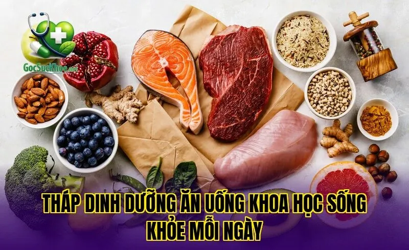 Tháp dinh dưỡng ăn uống khoa học sống khỏe mỗi ngày