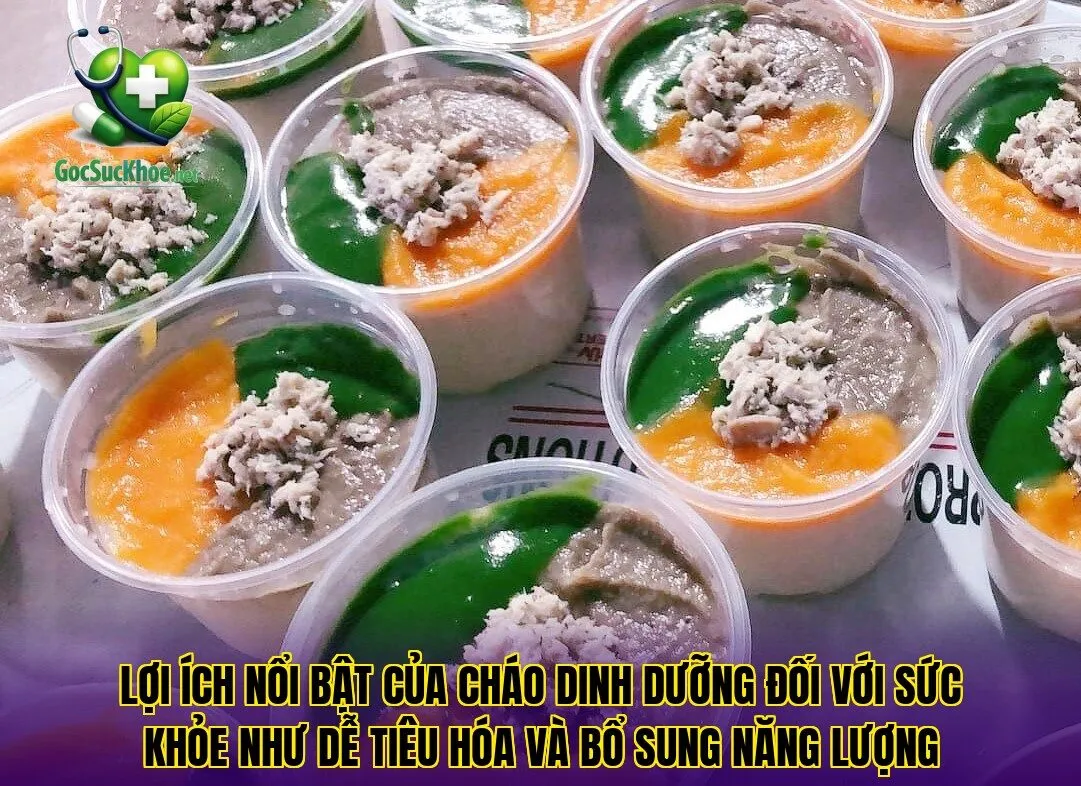 Lợi ích nổi bật của cháo dinh dưỡng đối với sức khỏe như dễ tiêu hóa và bổ sung năng lượng