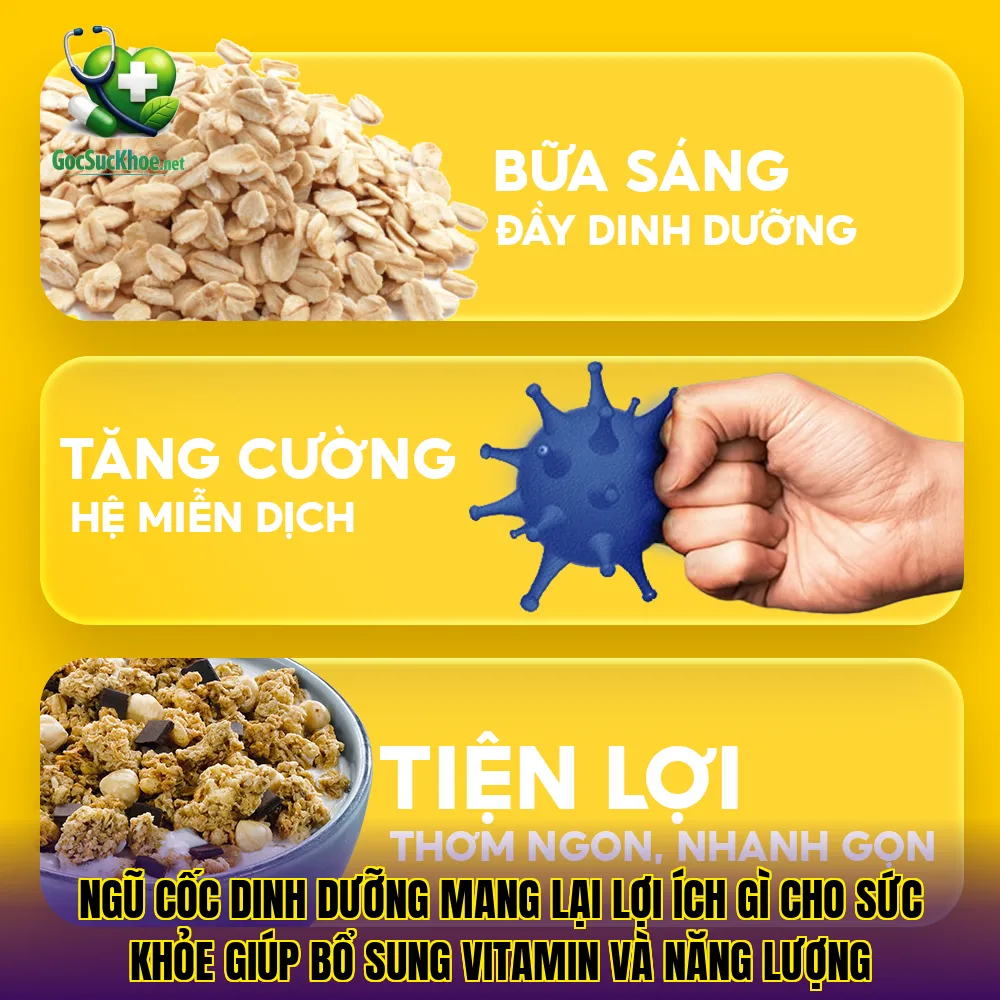 Ngũ cốc dinh dưỡng mang lại lợi ích gì cho sức khỏe giúp bổ sung vitamin và năng lượng