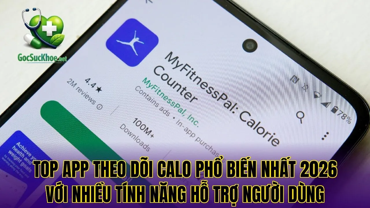 Top app theo dõi calo phổ biến nhất 2026 với nhiều tính năng hỗ trợ người dùng