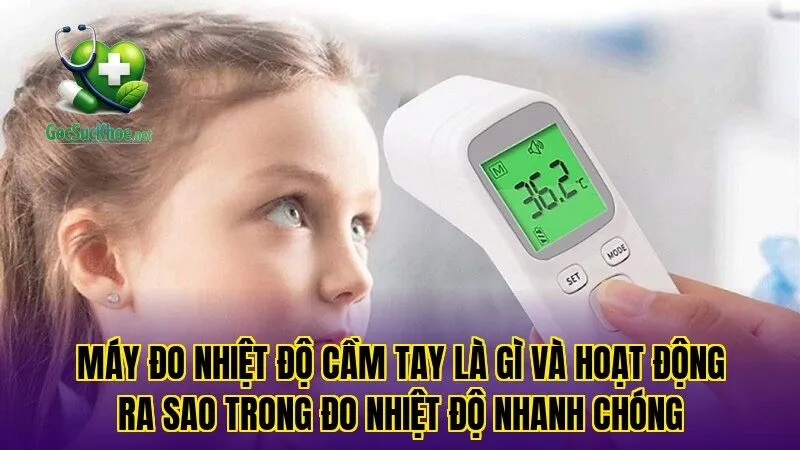 Máy đo nhiệt độ cầm tay là gì và hoạt động ra sao trong đo nhiệt độ nhanh chóng
