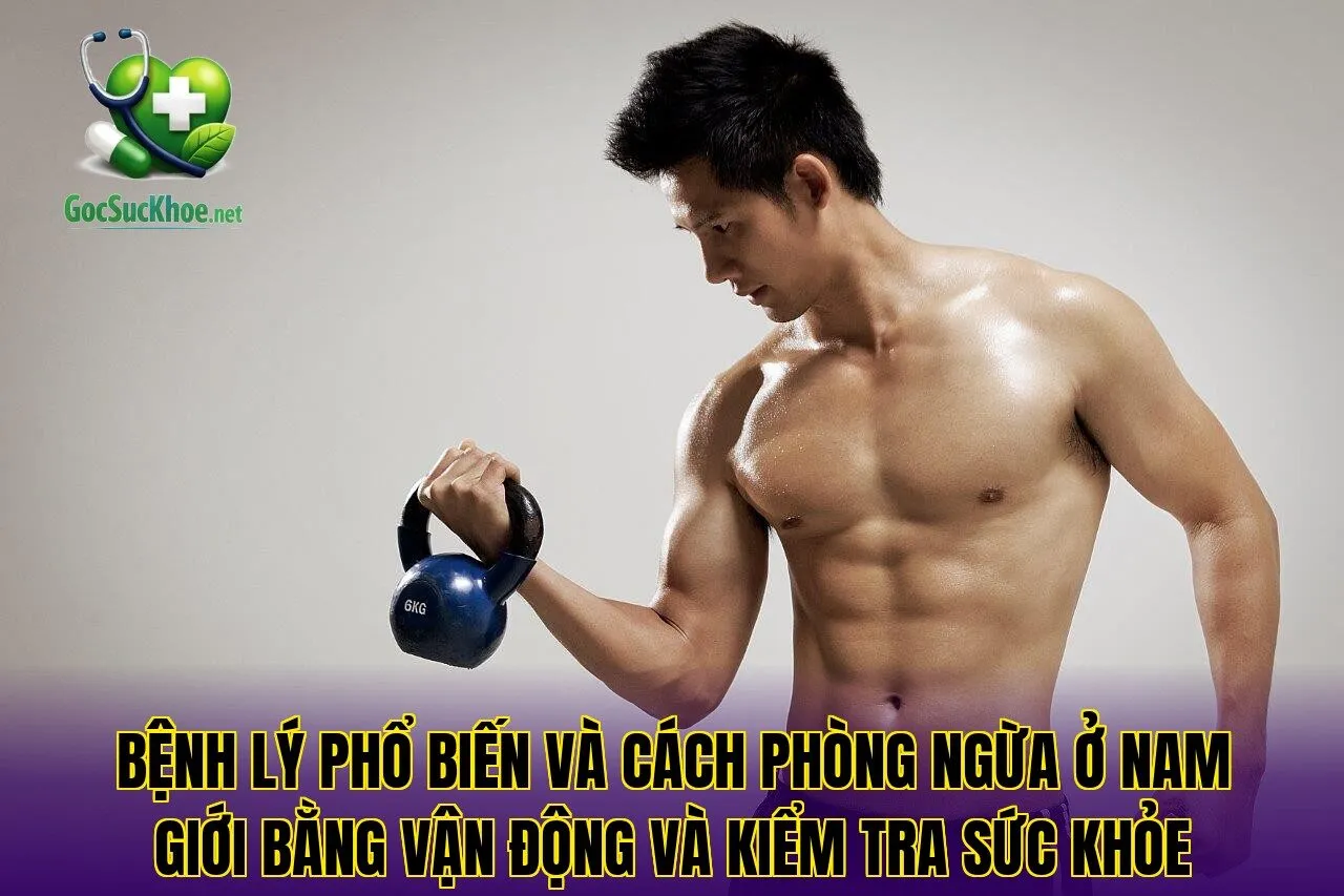 Bệnh lý phổ biến và cách phòng ngừa ở nam giới bằng vận động và kiểm tra sức khỏe