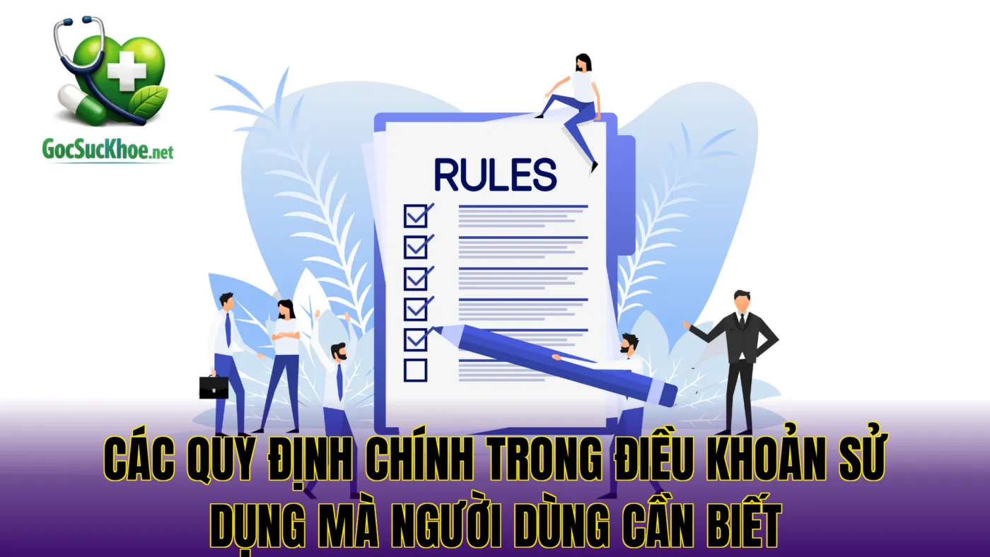 Các quy định chính trong điều khoản sử dụng mà người dùng cần biết