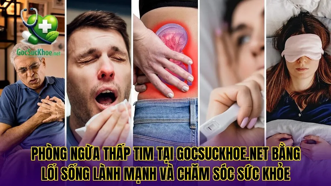 Phòng ngừa thấp tim tại gocsuckhoe.net bằng lối sống lành mạnh và chăm sóc sức khỏe