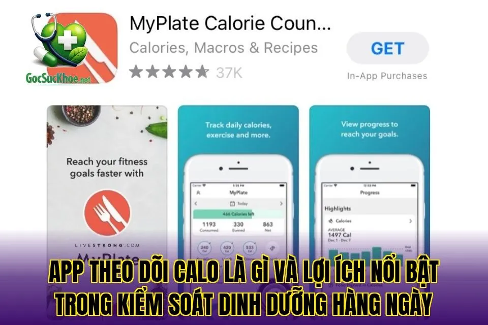 App theo dõi calo là gì và lợi ích nổi bật trong kiểm soát dinh dưỡng hàng ngày