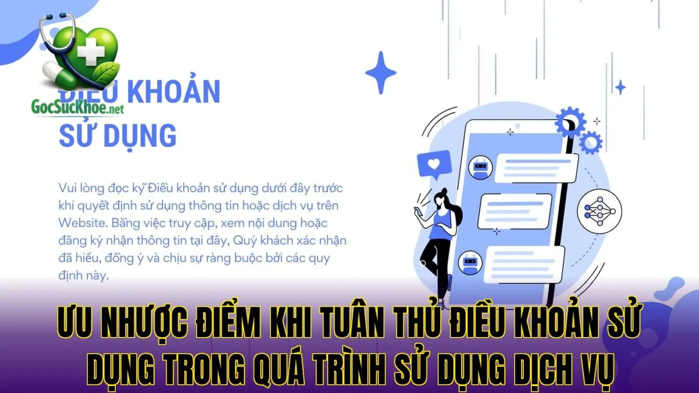 Ưu nhược điểm khi tuân thủ điều khoản sử dụng trong quá trình sử dụng dịch vụ