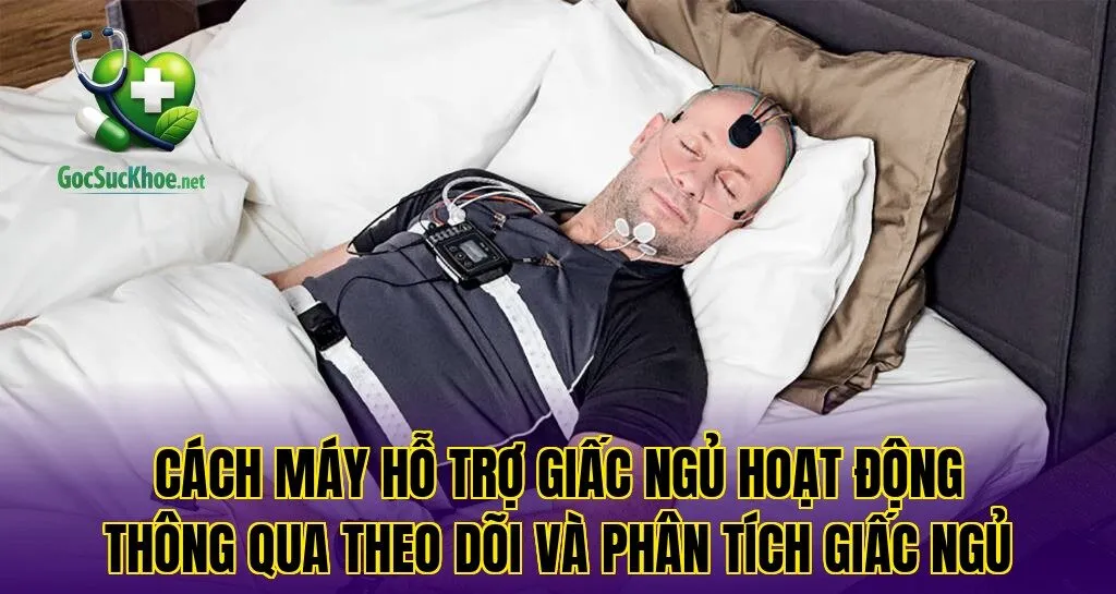 Cách máy hỗ trợ giấc ngủ hoạt động thông qua theo dõi và phân tích giấc ngủ