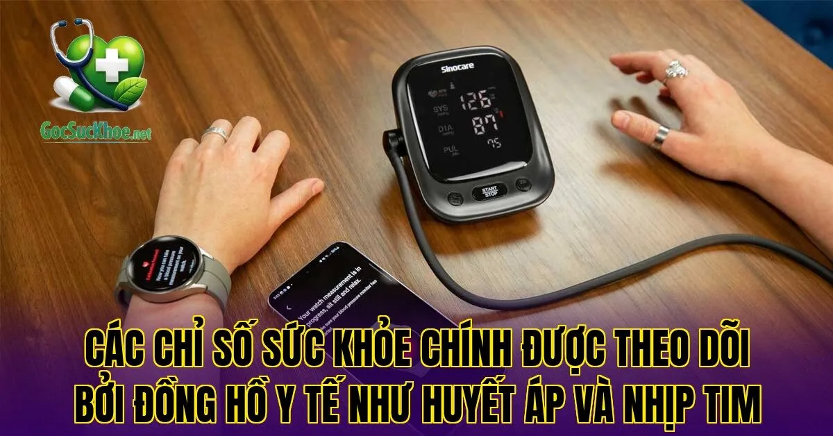 Các chỉ số sức khỏe chính được theo dõi bởi đồng hồ y tế như huyết áp và nhịp tim
