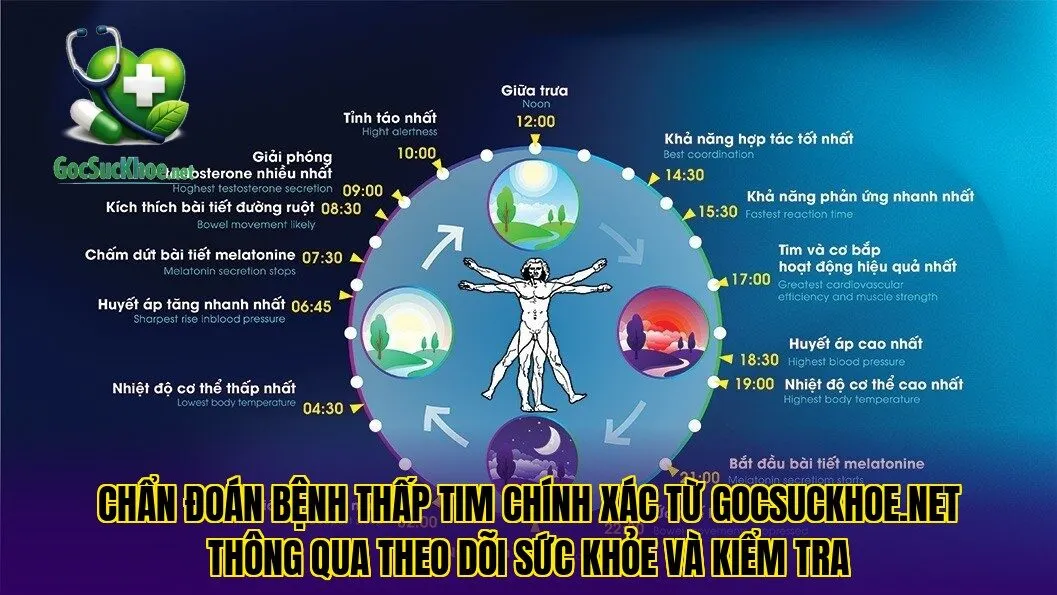 Chẩn đoán bệnh thấp tim chính xác từ gocsuckhoe.net thông qua theo dõi sức khỏe và kiểm tra