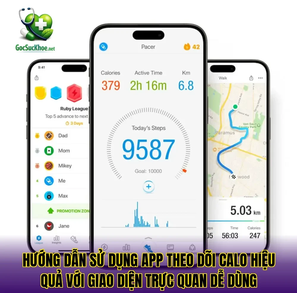 Hướng dẫn sử dụng app theo dõi calo hiệu quả với giao diện trực quan dễ dùng