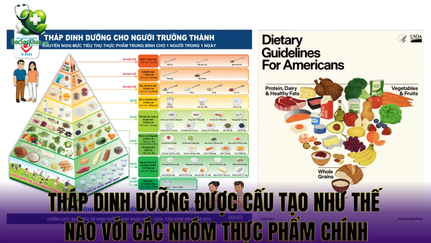 Tháp dinh dưỡng được cấu tạo như thế nào với các nhóm thực phẩm chính