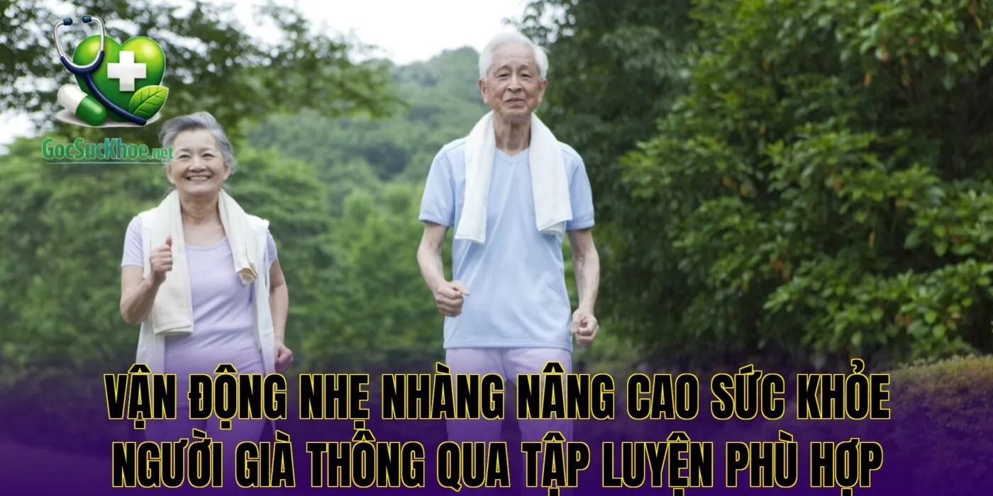 Vận động nhẹ nhàng nâng cao sức khỏe người già thông qua tập luyện phù hợp