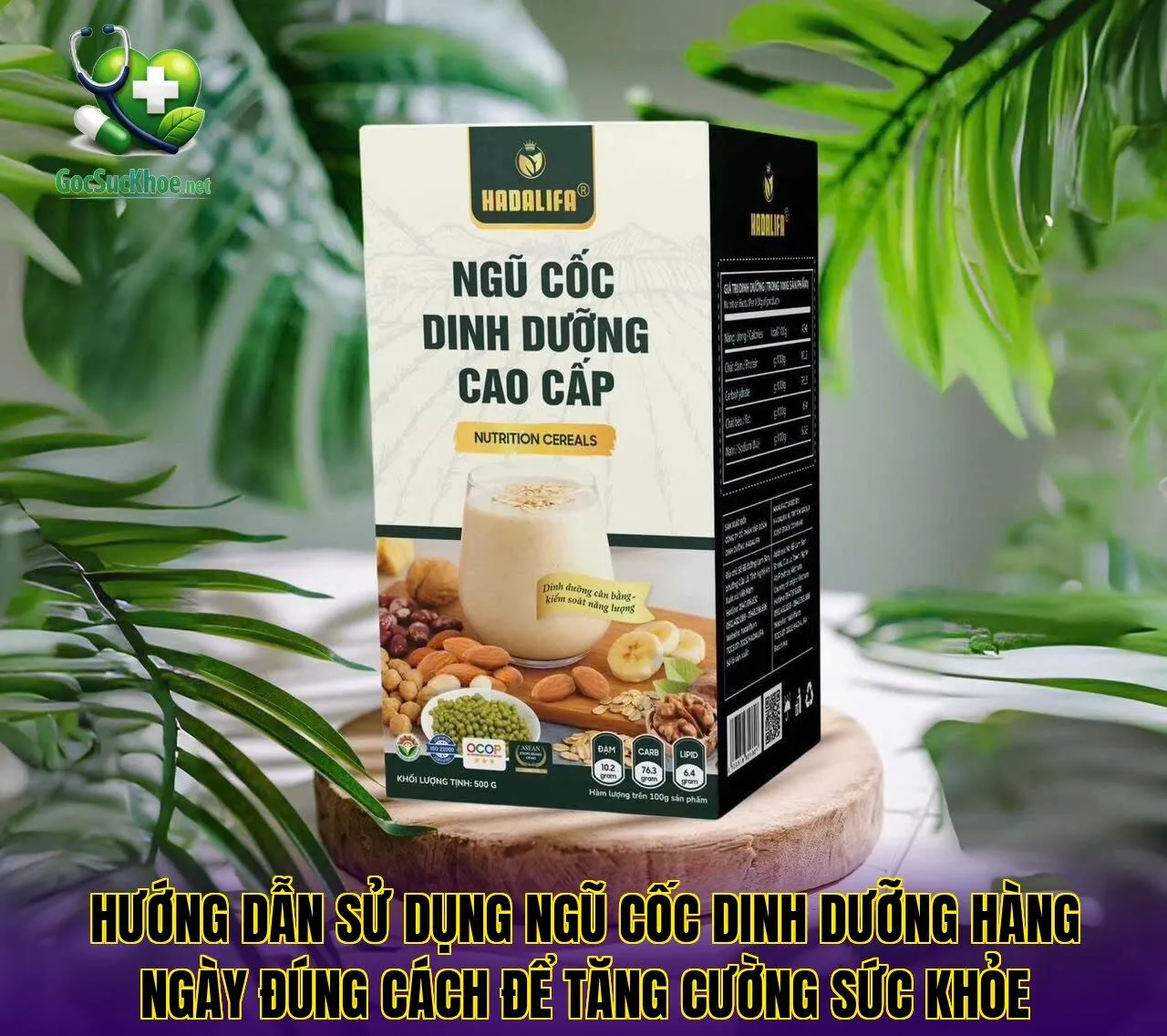 Hướng dẫn sử dụng ngũ cốc dinh dưỡng hàng ngày đúng cách để tăng cường sức khỏe