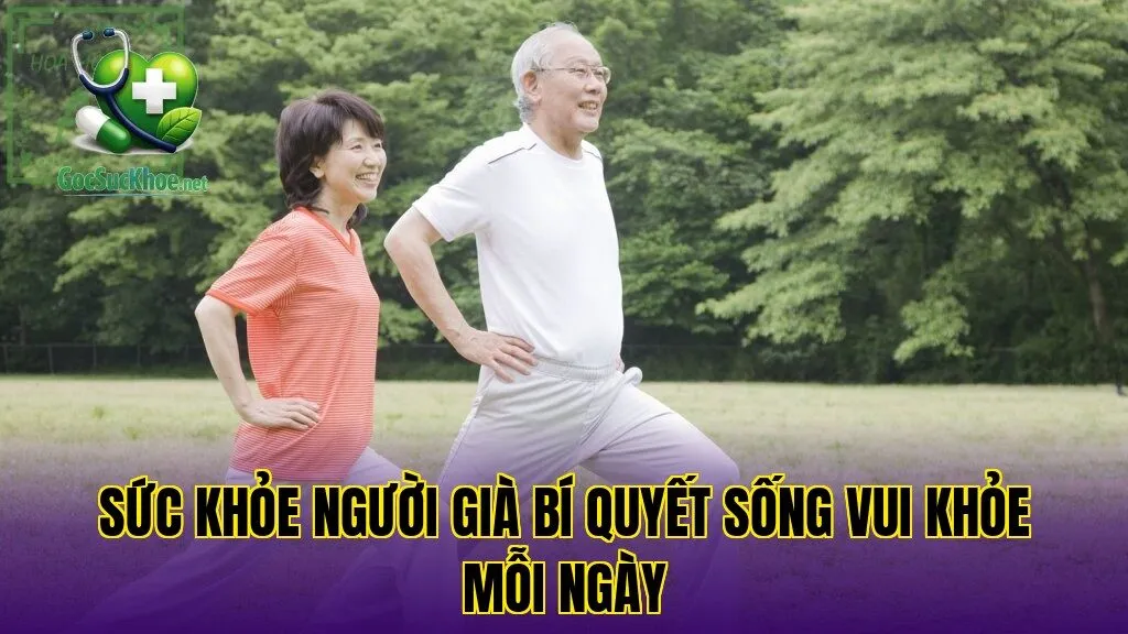 Sức khỏe người già bí quyết sống vui khỏe mỗi ngày