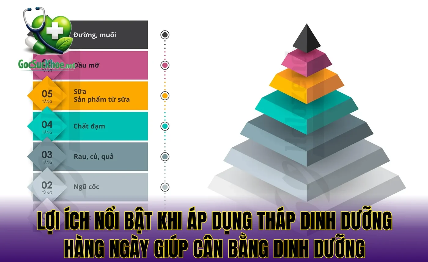 Lợi ích nổi bật khi áp dụng tháp dinh dưỡng hàng ngày giúp cân bằng dinh dưỡng