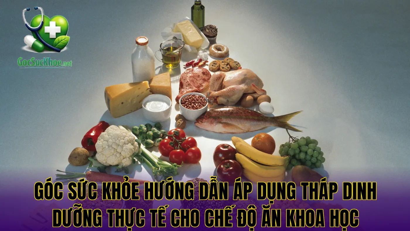 Góc sức khỏe hướng dẫn áp dụng tháp dinh dưỡng thực tế cho chế độ ăn khoa học