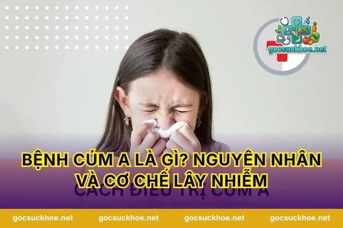 Bệnh cúm A là gì? Nguyên nhân và cơ chế lây nhiễm