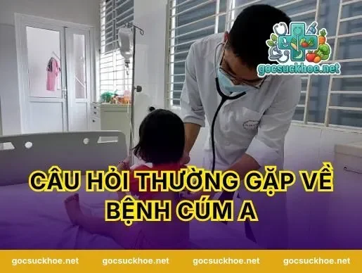 Câu hỏi thường gặp về bệnh cúm A