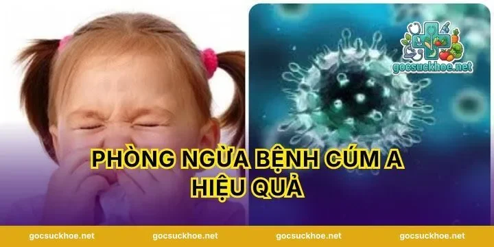 Phòng ngừa bệnh cúm A hiệu quả